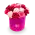Květinový box růží